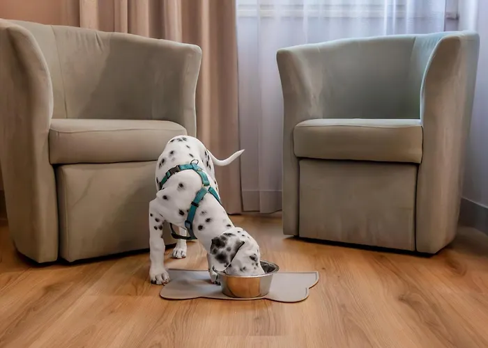 De La Ville Depandance Di AugustusAlbergo